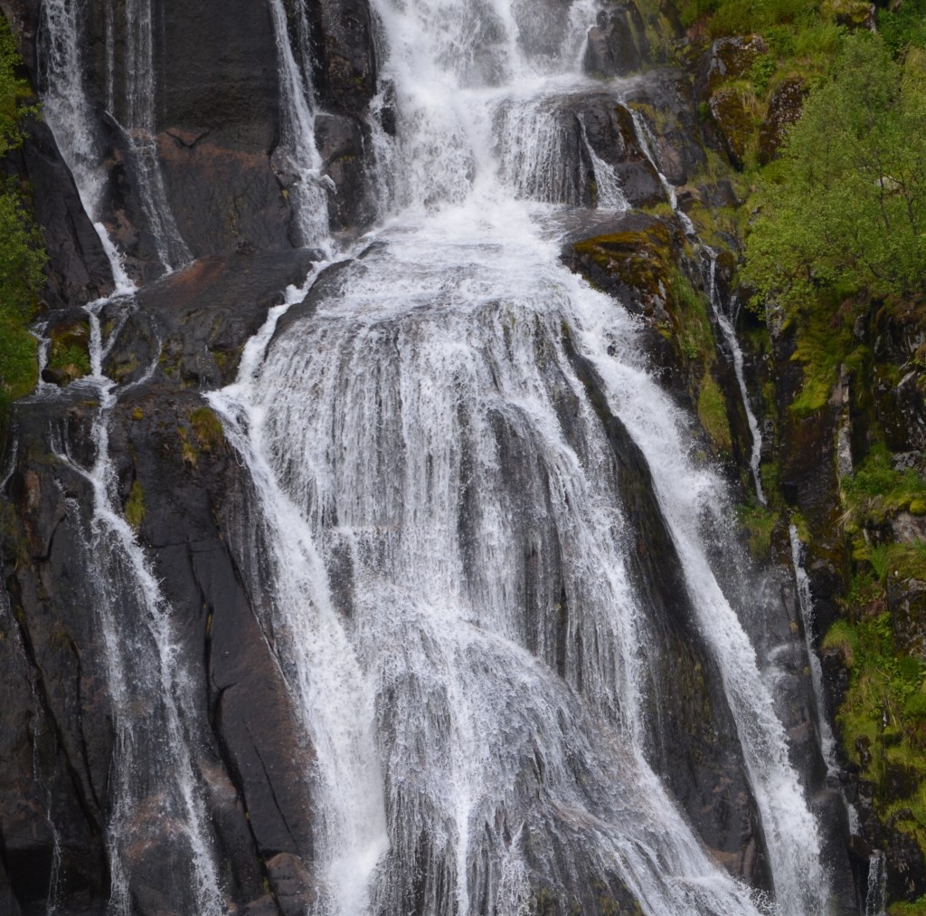 DSC_0241