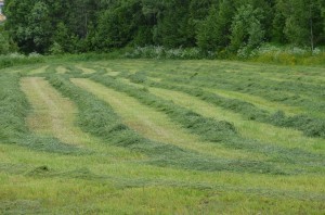 farm3